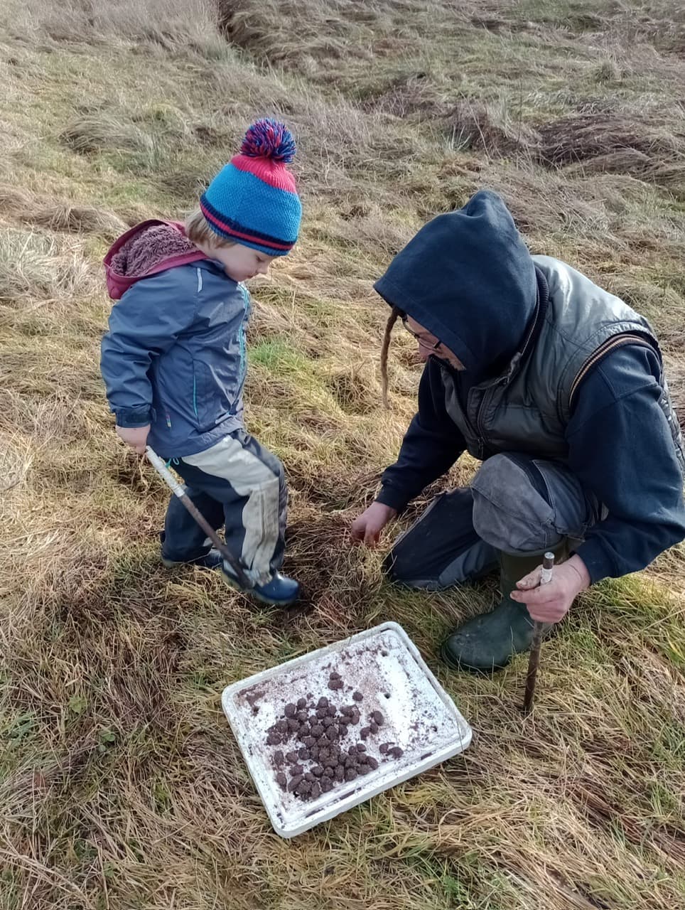 Volunteers planting acorns in a Perthshire landscape